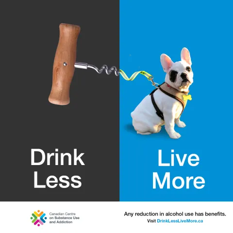 Drink Less Walk Dogs Instagram